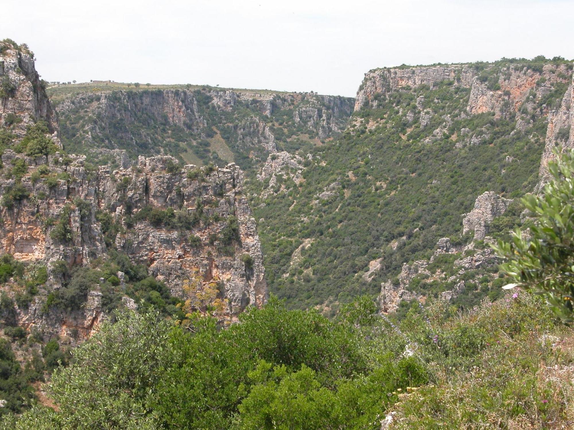 Masseria La Gravina Séjour à la campagne Palagianello